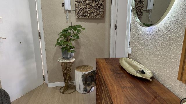 Imagen 17 Inmueble 297840 - Apartamento en venta en Tordera /    Tordera Barcelona